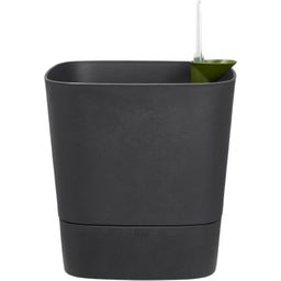 elho greensense aqua care, kwadratowa 30 cm - grafitowy szary