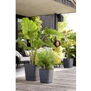 elho greensense aqua care, kwadratowa 30 cm - grafitowy szary