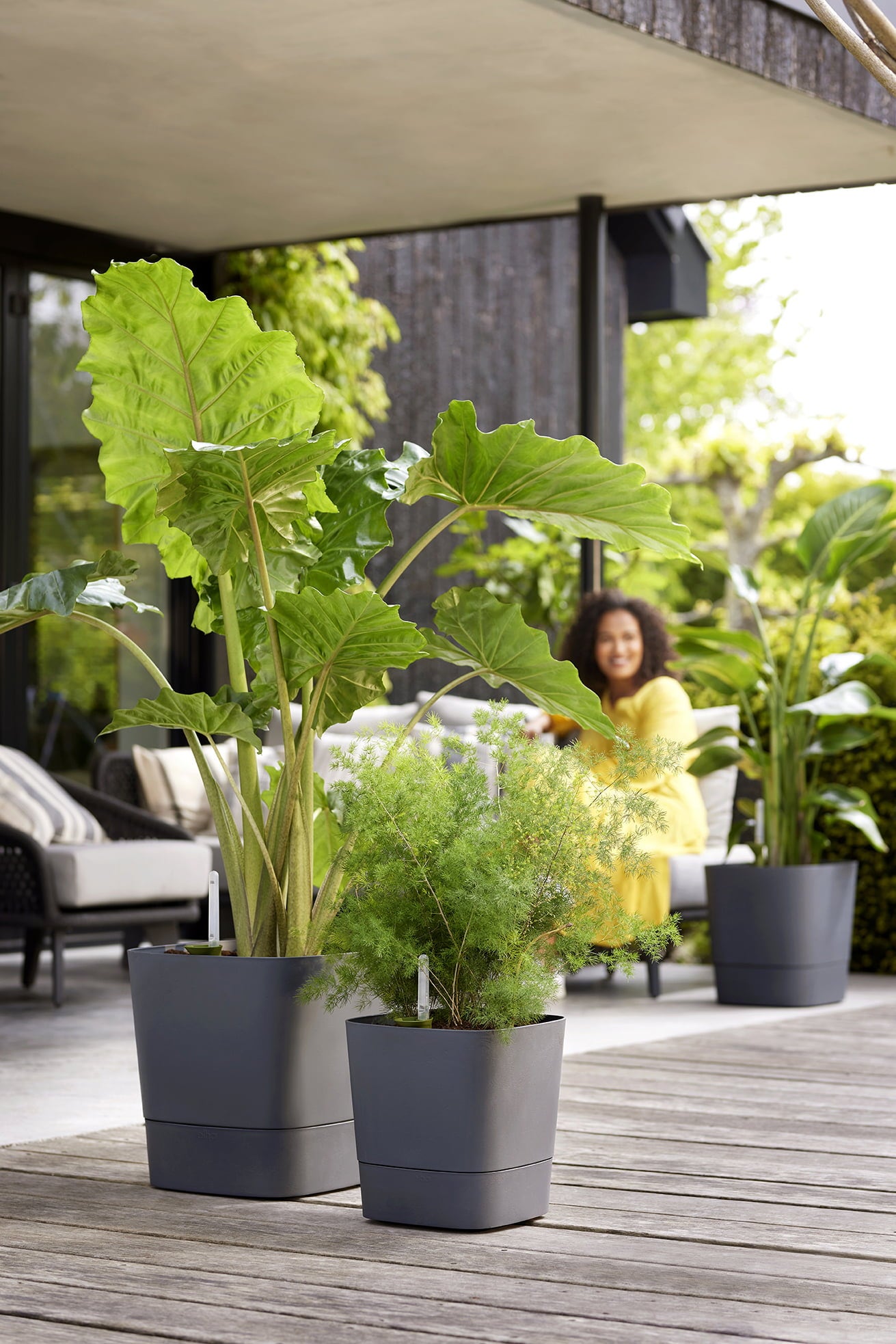 elho greensense aqua care 30cm, square - Charcoal grey