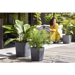 elho greensense aqua care, kwadratowa 30 cm - grafitowy szary