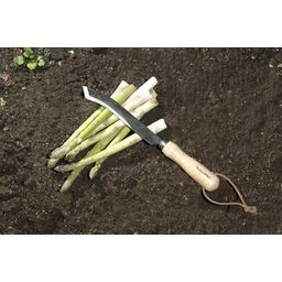 Burgon & Ball Ultimate Asparagus Knife - 1 item