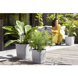 elho greensense aqua care kvadraten 38 cm - lahki beton