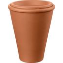 Deroma AquaDO - Watering Pot H 15cm, Set of 6 - 1 set (6 items)