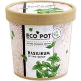 Feel Green ecopot "Bazsalikom"