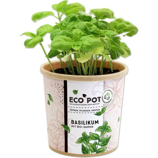 Feel Green ecopot - Basilico - 1 pz.