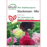 Saflax Stokroos Mix