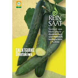 ReinSaat Cucumber 