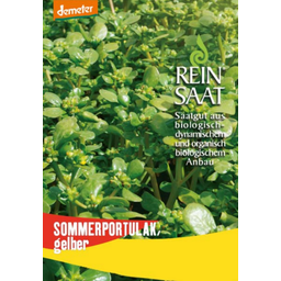 ReinSaat Sommerportulak, gelber - 1 Pkg