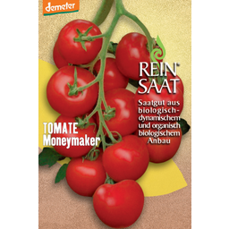 ReinSaat Tomate - Moneymaker - 1 paq.