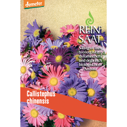 ReinSaat Reine-Marguerite - 1 sachet