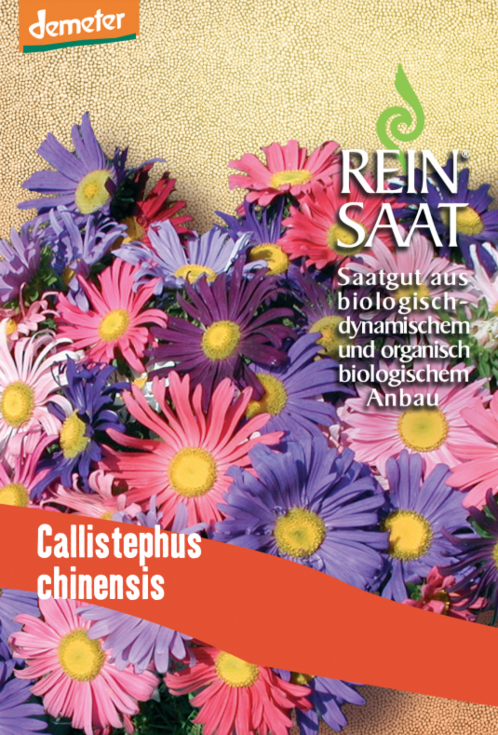 ReinSaat Sommeraster