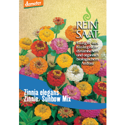 ReinSaat Zinnia - Sunbow Mix