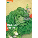 ReinSaat "Little Gem" római saláta