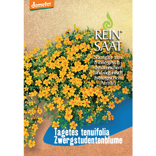 ReinSaat Zwergstudentenblume - 1 Pkg