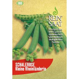 ReinSaat Schalerbse "Kleine Rheinländerin"