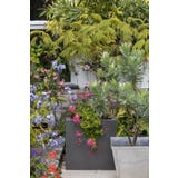 Burgon & Ball P&aacute; de Transplante para Vasos