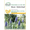 Saflax Blauer - Natternkopf - 1 Pkg