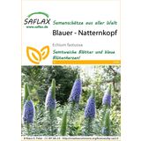 Saflax Blauer - Natternkopf