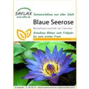 Saflax Blauwe Waterlelie - 1 Verpakking