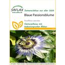 Saflax Fiore della Passione - 1 conf.