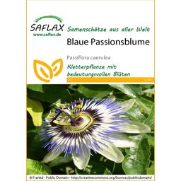 Saflax Blaue Passionsblume - 1 Pkg