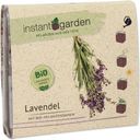Feel Green instant garden - Lavanda - 1 set