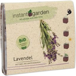 Feel Green instant garden - Lavanda