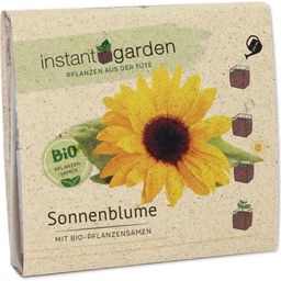 Feel Green instant garden Zonnebloem - 1 Set