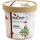 Feel Green  ecopot Chili - 1 stuk