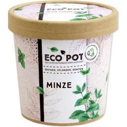Feel Green ecopot "Minze"