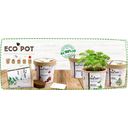 Feel Green ecopot Munt - 1 stuk