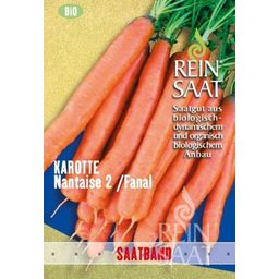 ReinSaat Carrot ''Nantaise 2''