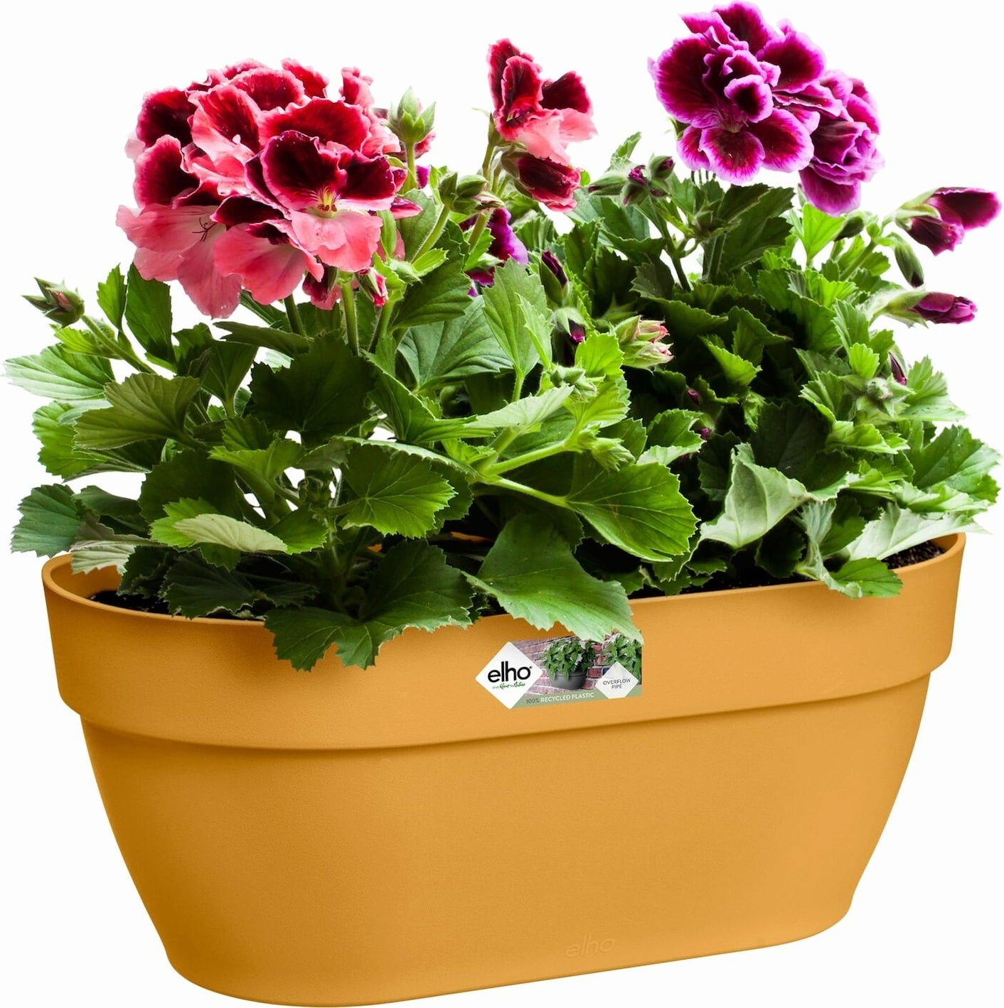elho vibia campana stenski 35 cm - medeno rumena