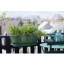 elho greenville easy balcony 52cm - Leaf green