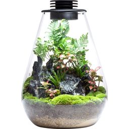 Bioloark Bio Bottle Model SD - 175