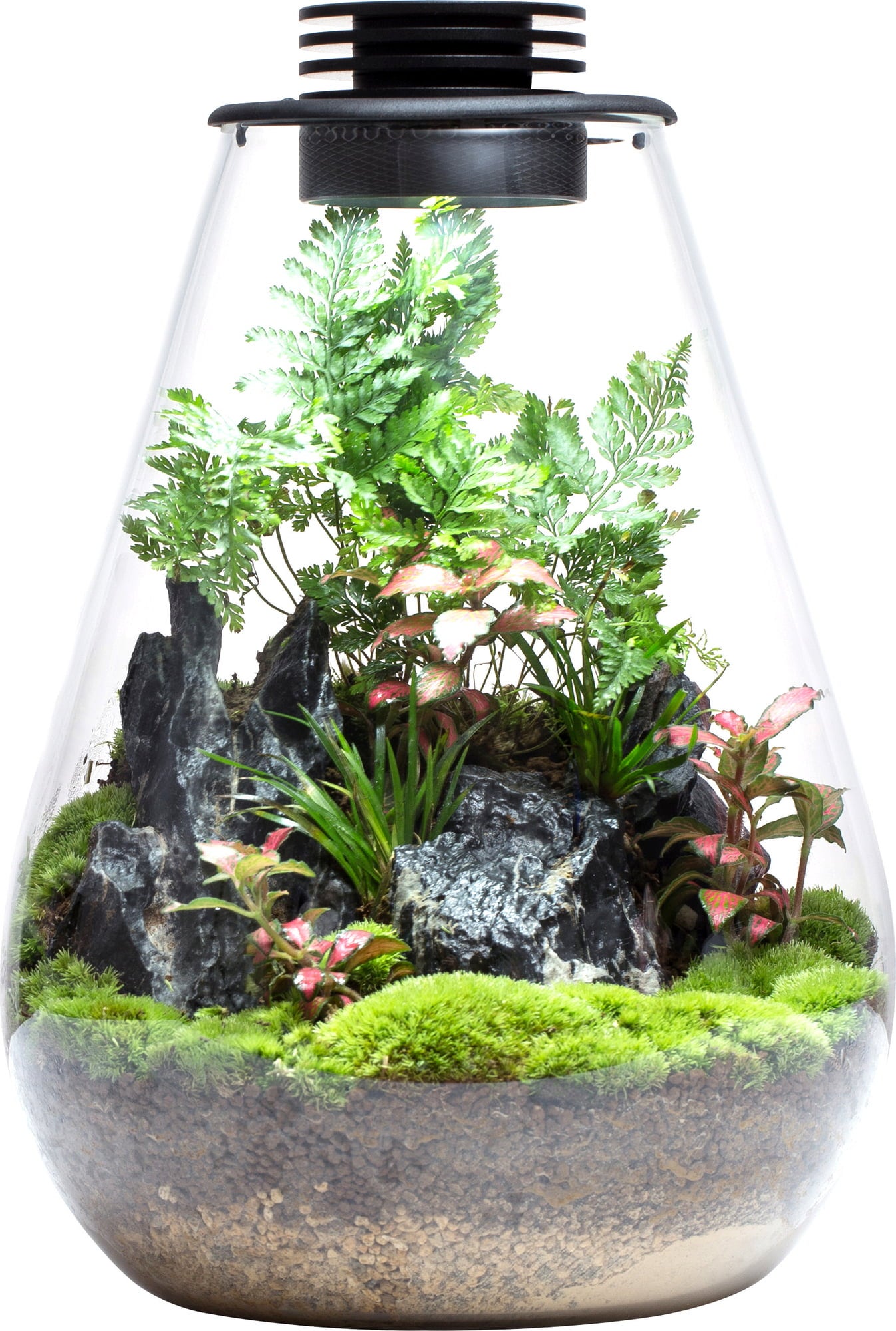 Bioloark Bio Bottle Modell SD - 175