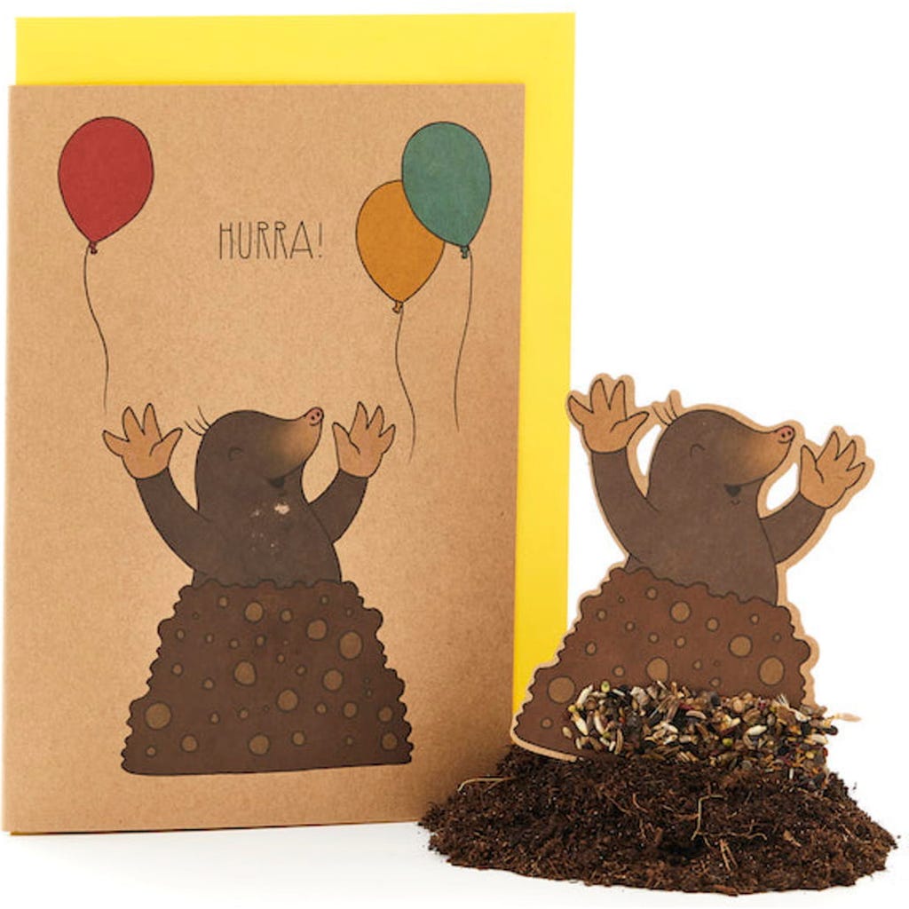 Biglietti di auguri personalizzati formato A5