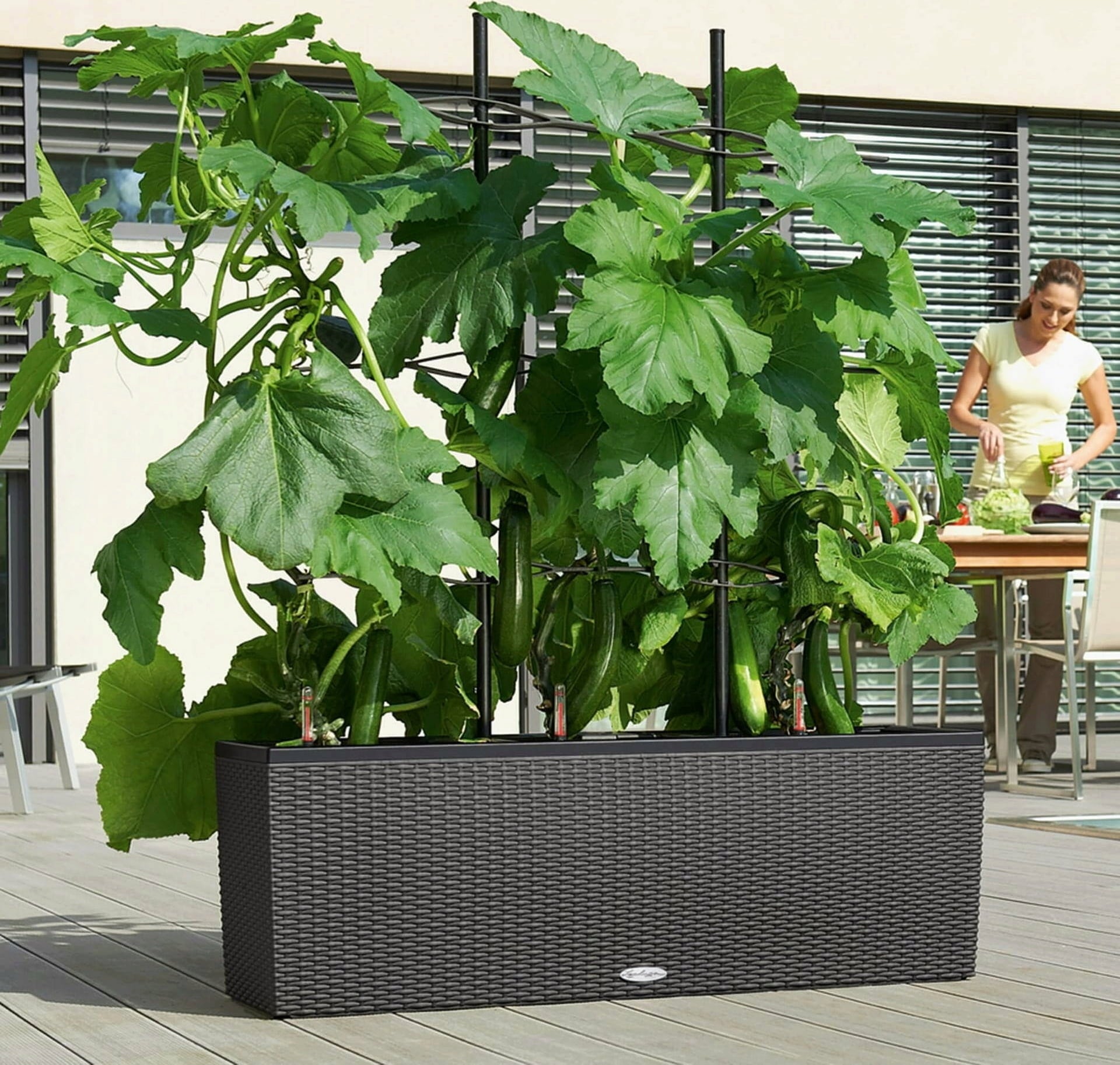 Lechuza Trellis for TRIO 40 - 30