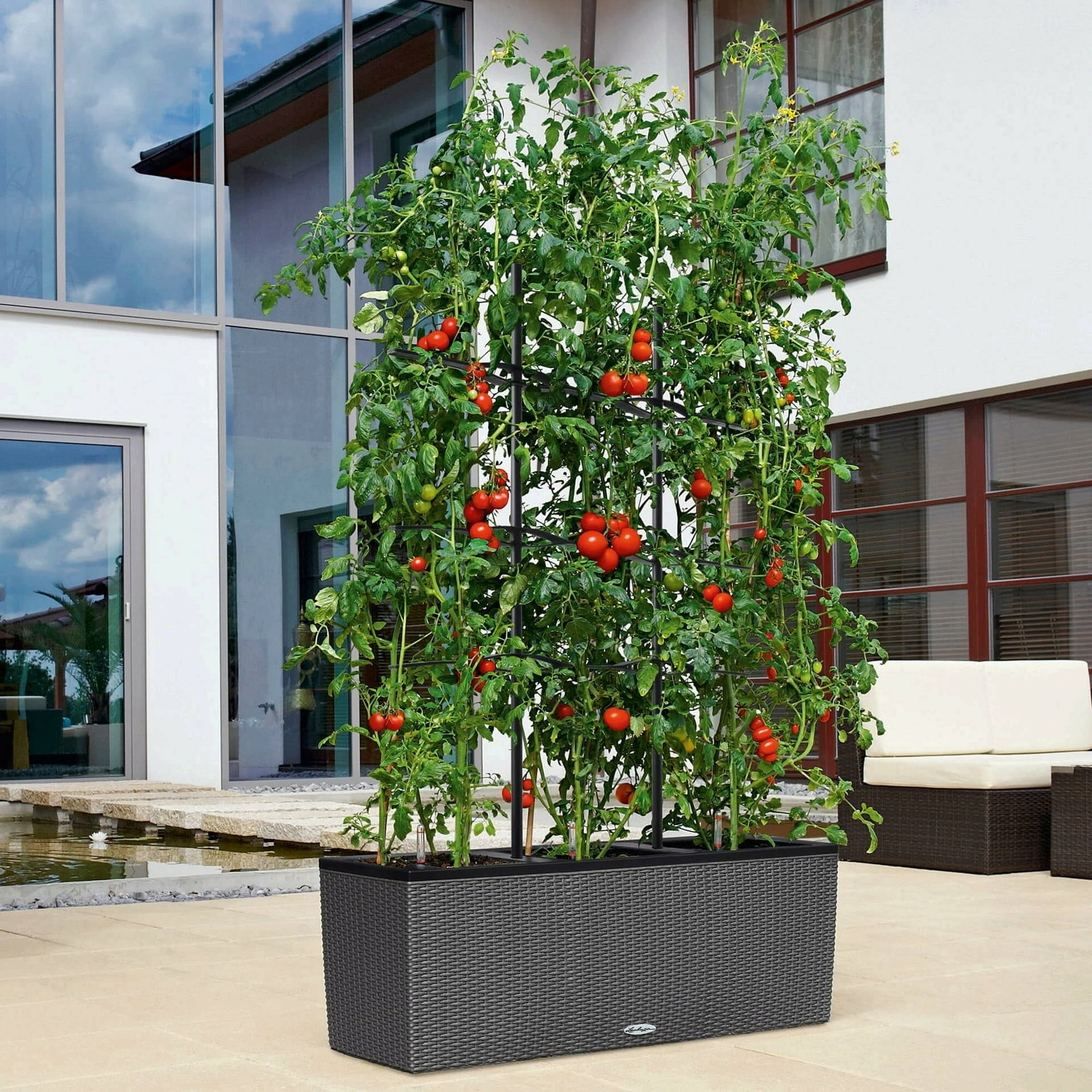 Lechuza Trellis for TRIO 40 - 30