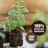 Windhager Pastilhas de Germina&ccedil;&atilde;o Expans&iacute;veis