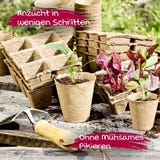 Windhager Vasos de Cultivo 6 cm redondos