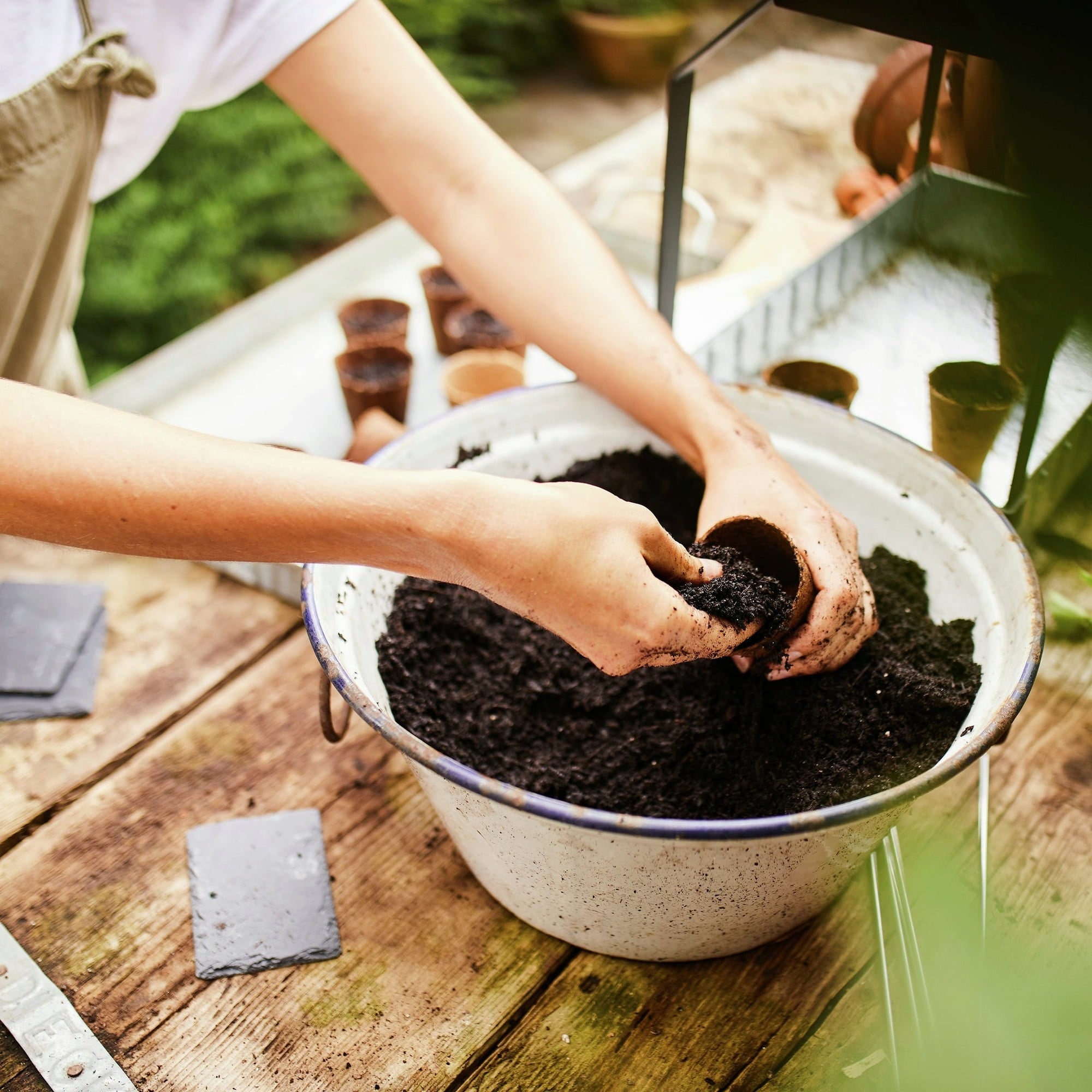Organic Peat-Free Cultivation and Herb Soil