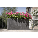 Climaqua Planter RECTO 80 - Anthracite