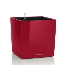 Lechuza CUBE Premium 40 Självvattnande Kruka - scharlakansröd högglans