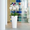 Lechuza DELTA Premium 30 Planter - High gloss white