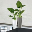 Lechuza DELTA Premium 40 Planter - Metallic anthracite