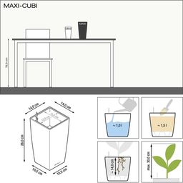 Lechuza Vase de Table - Maxi CUBI