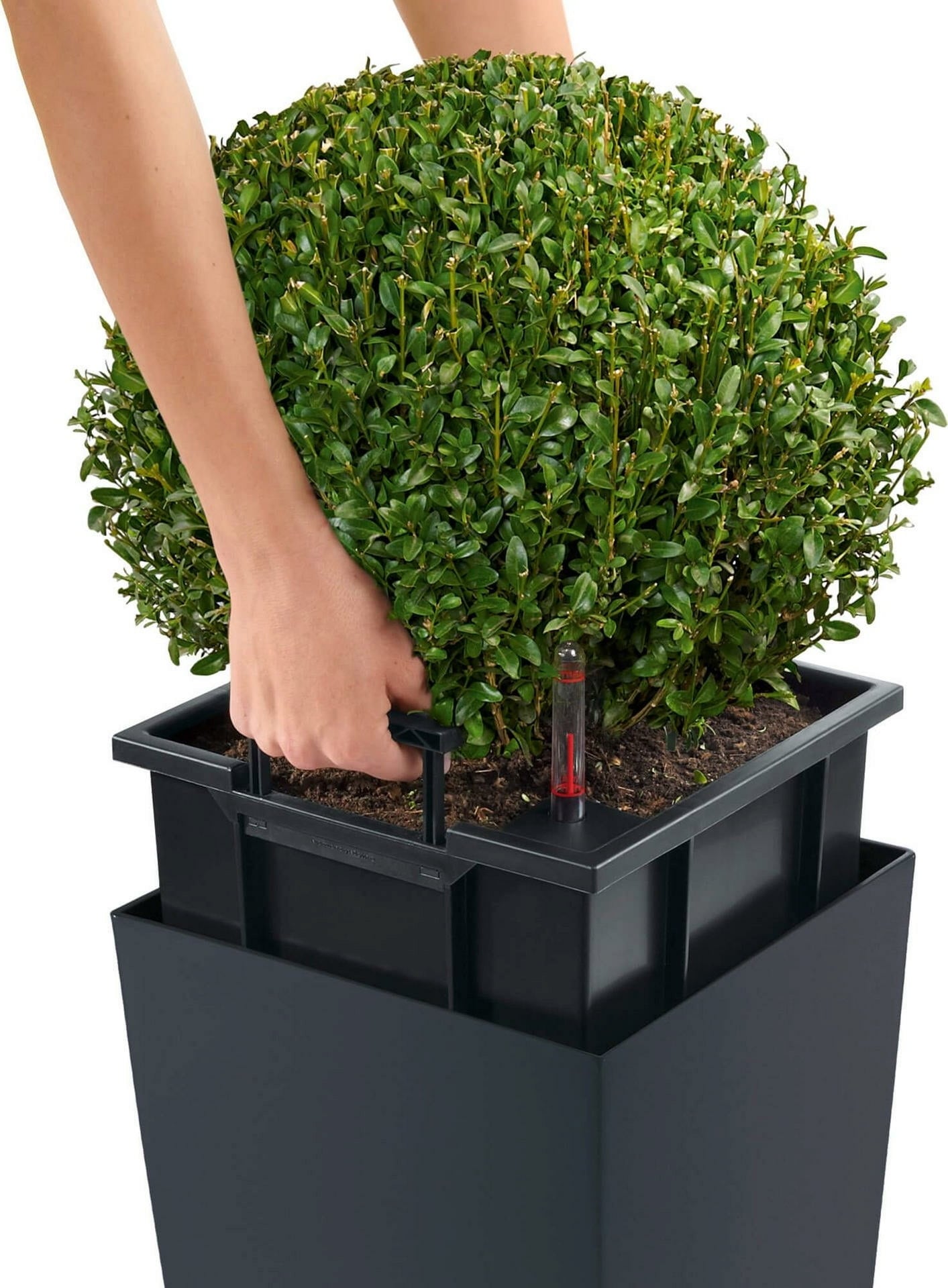 Lechuza Jardinière CUBICO Color 30