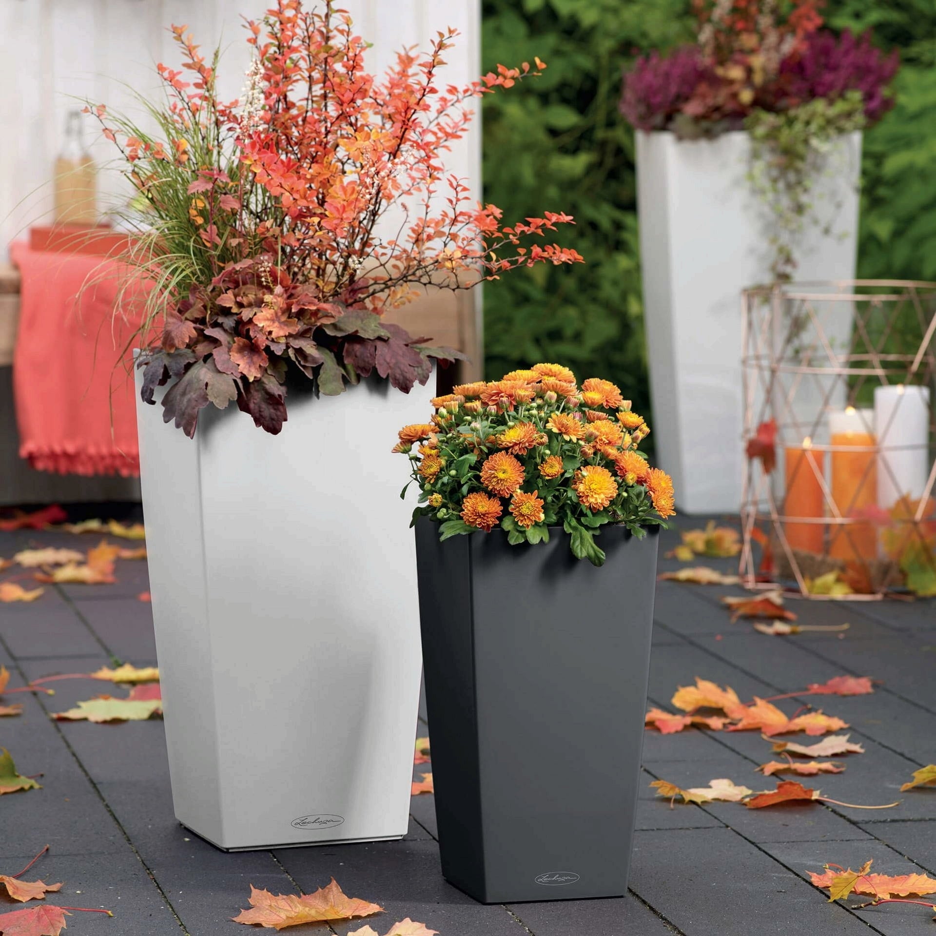 Lechuza Jardinière CUBICO Color 30