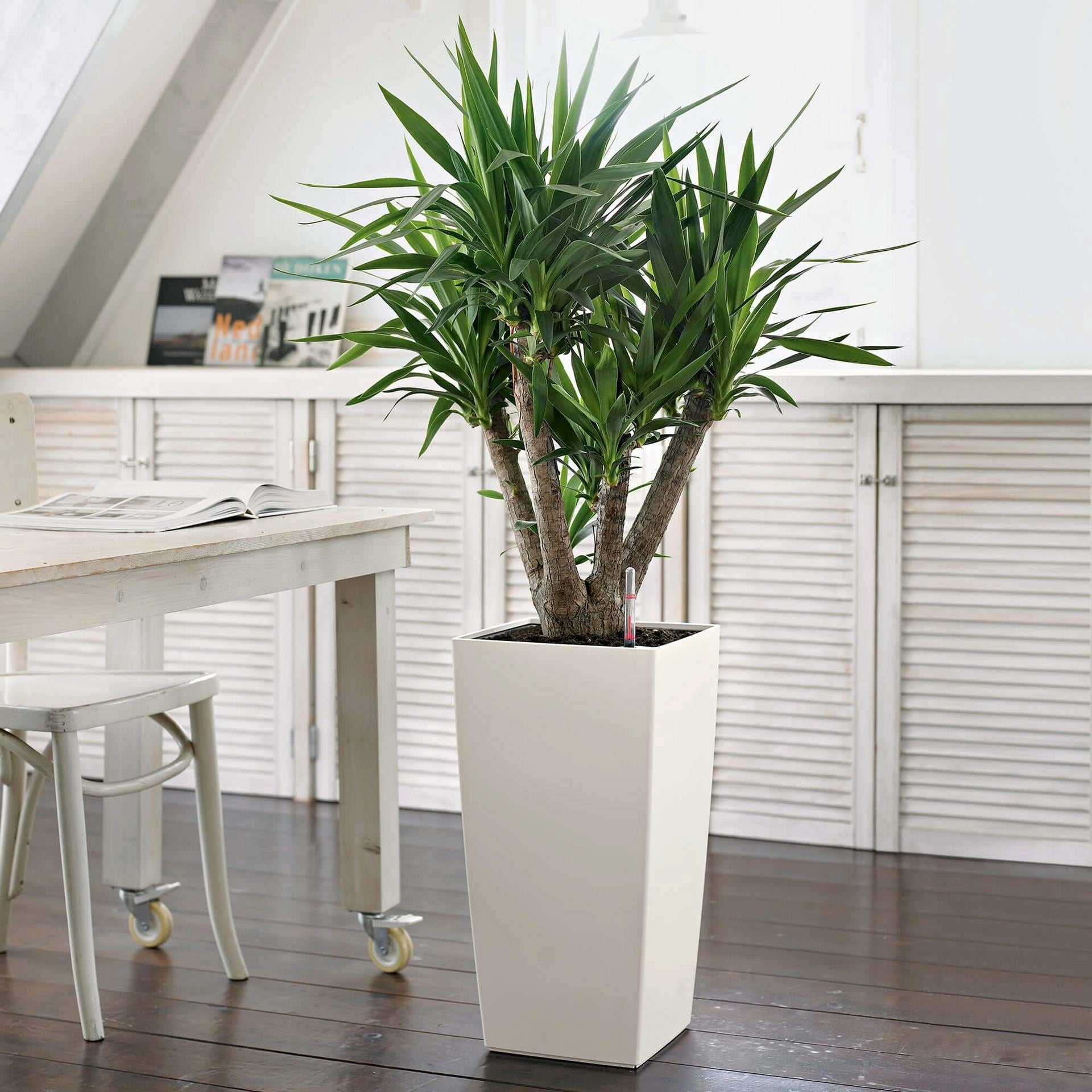 Lechuza Jardinière CUBICO Color 30
